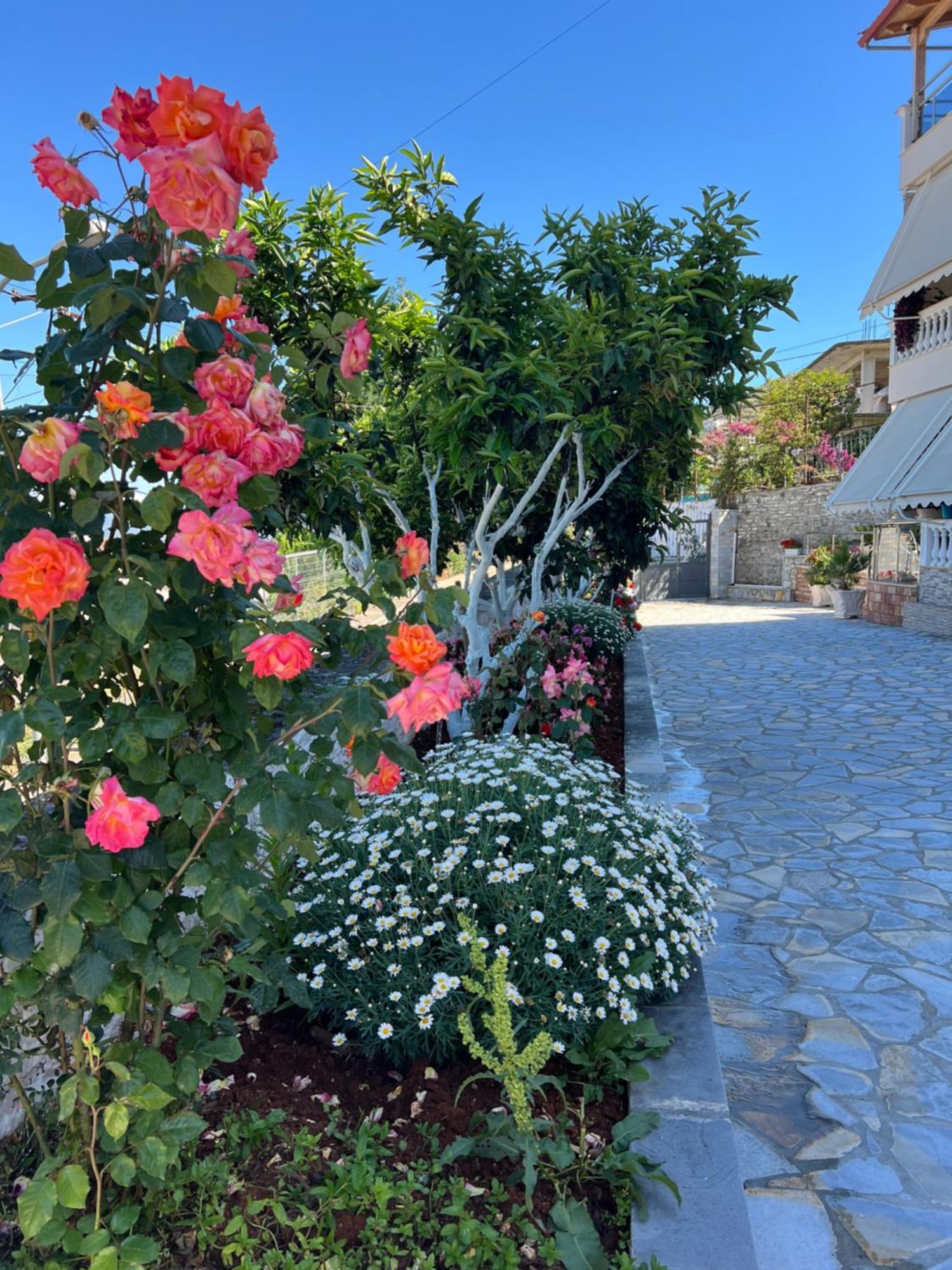Amazing Familiar Apartments And Rooms ساراندا المظهر الخارجي الصورة