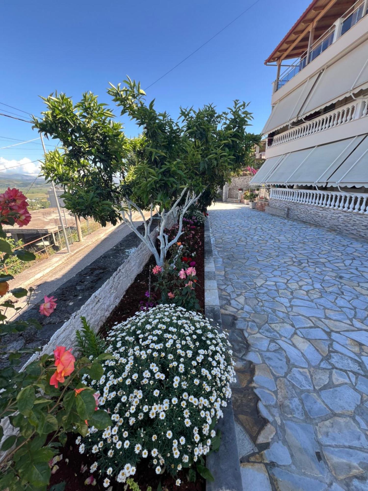Amazing Familiar Apartments And Rooms ساراندا المظهر الخارجي الصورة